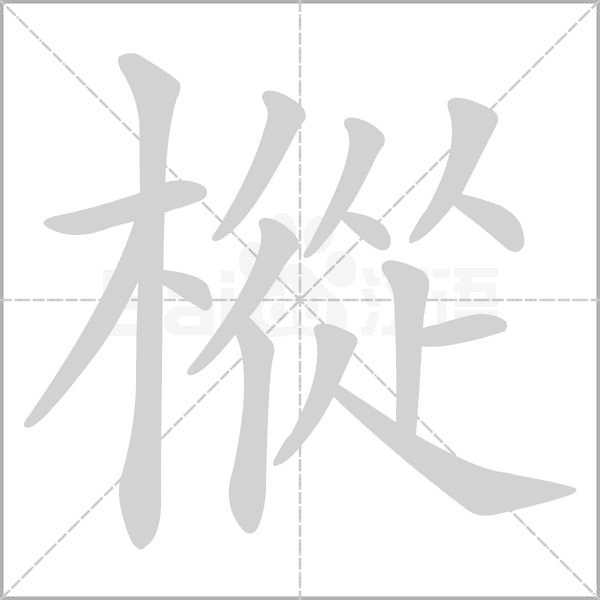 樅的笔顺动画演示