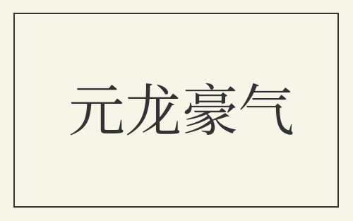 元龙豪气