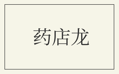 药店龙