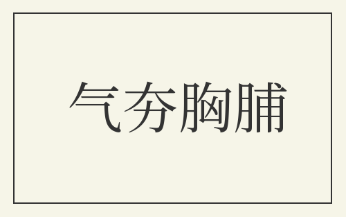 气夯胸脯