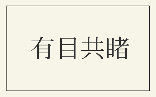 有目共睹