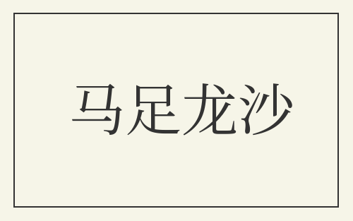 马足龙沙