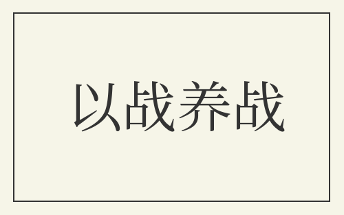 以战养战