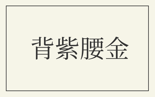 背紫腰金