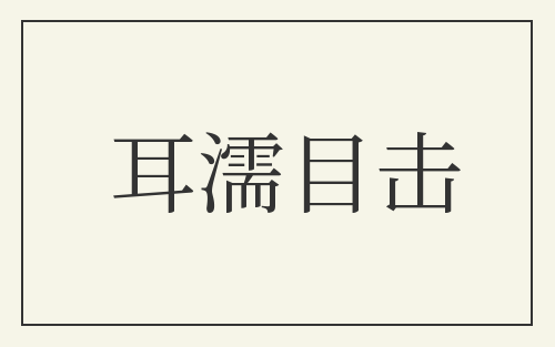 耳濡目击