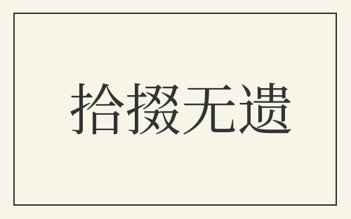 拾掇无遗