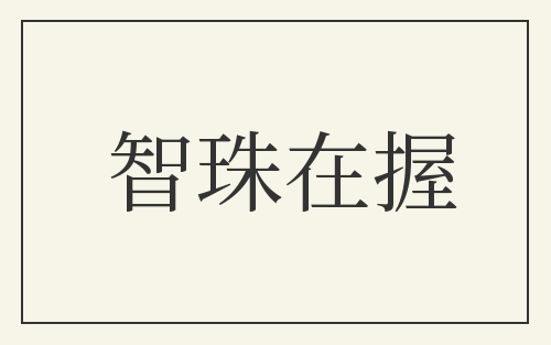 智珠在握