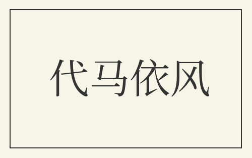 代马依风