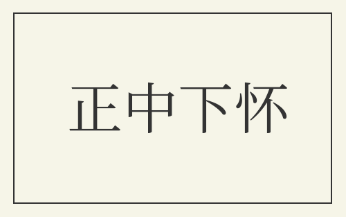 正中下怀