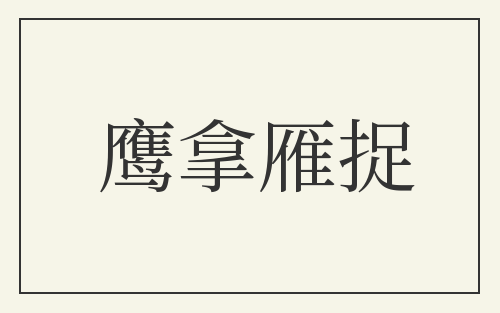 鹰拿雁捉