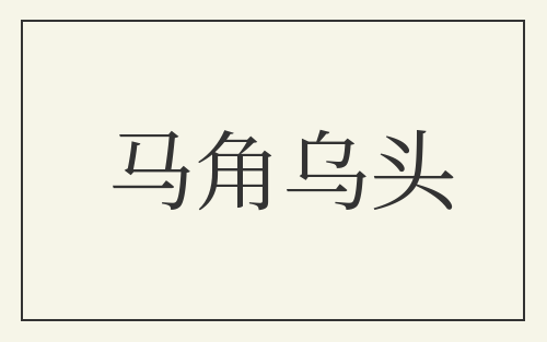 马角乌头