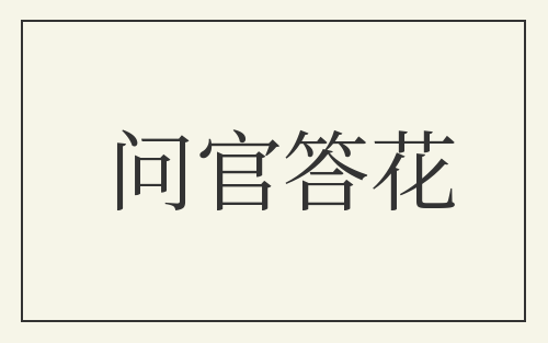 问官答花