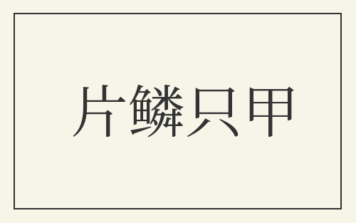 片鳞只甲