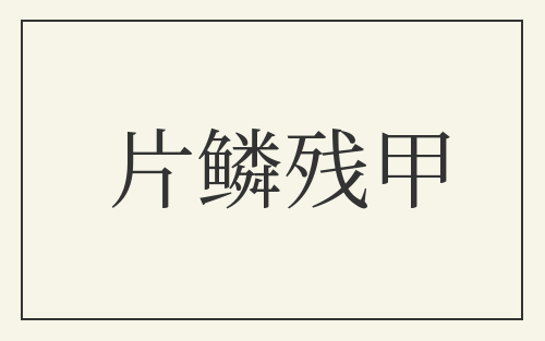片鳞残甲