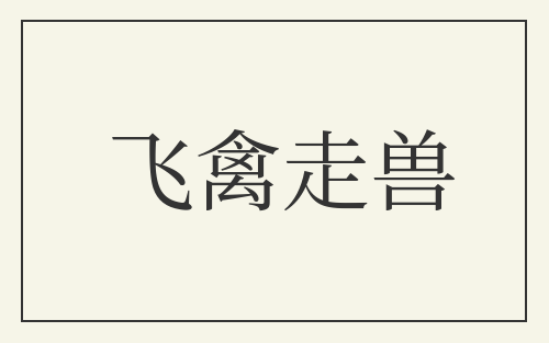 飞禽走兽