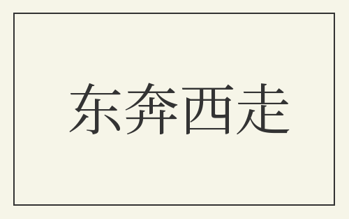 东奔西走