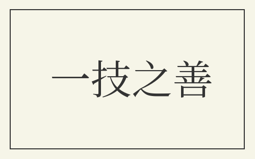 一技之善
