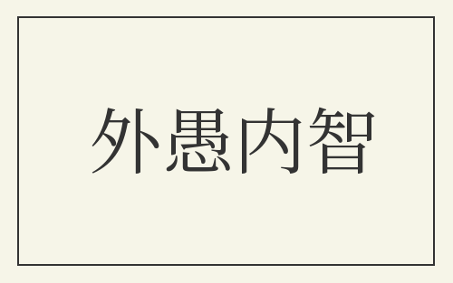 外愚内智