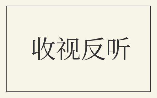 收视反听