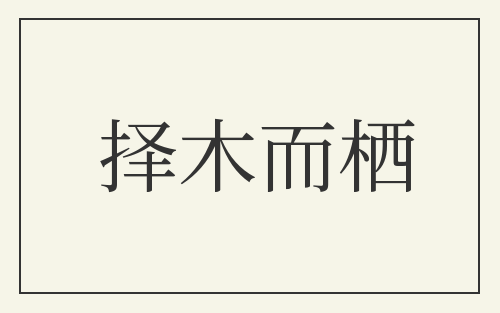 择木而栖