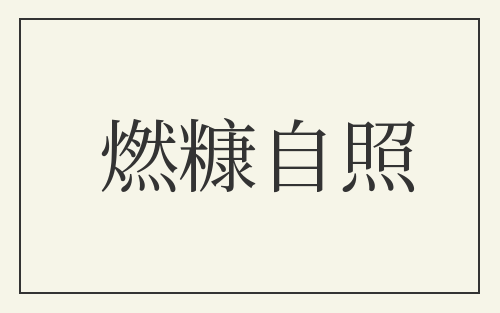 燃糠自照