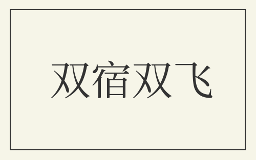 双宿双飞