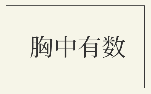 胸中有数