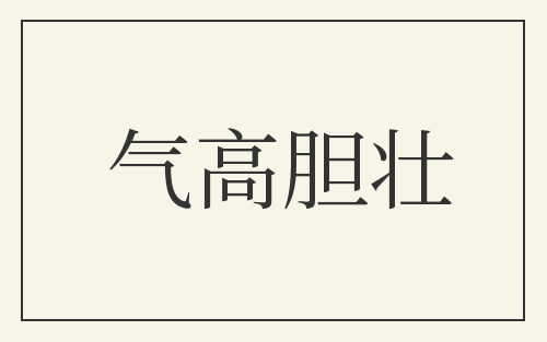 气高胆壮