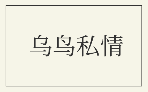 乌鸟私情