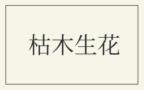 枯木生花