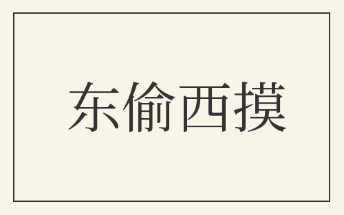 东偷西摸