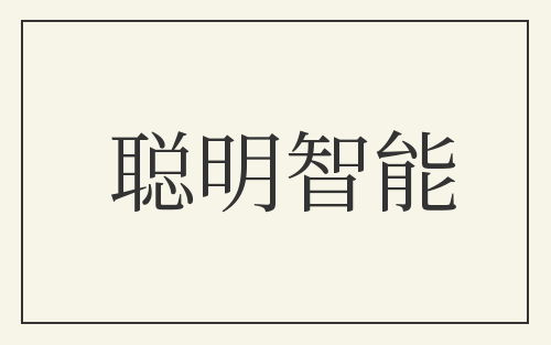 聪明智能