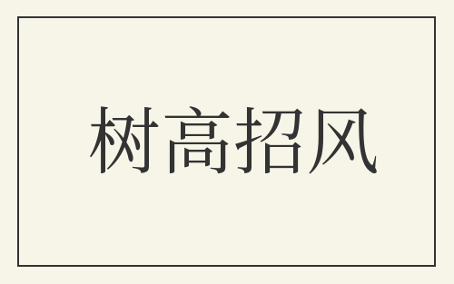 树高招风