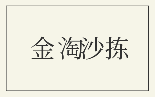 金淘沙拣