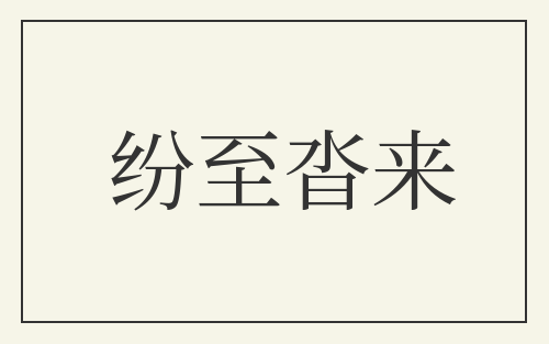 纷至沓来