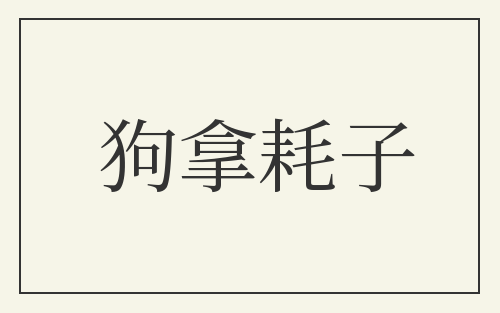 狗拿耗子