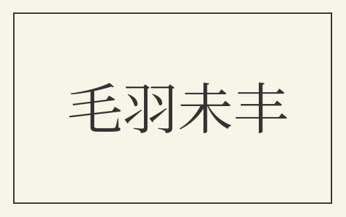 毛羽未丰