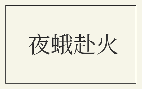 夜蛾赴火