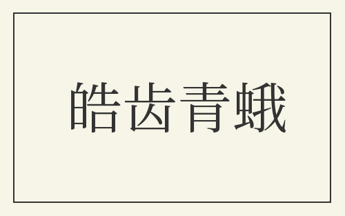 皓齿青蛾