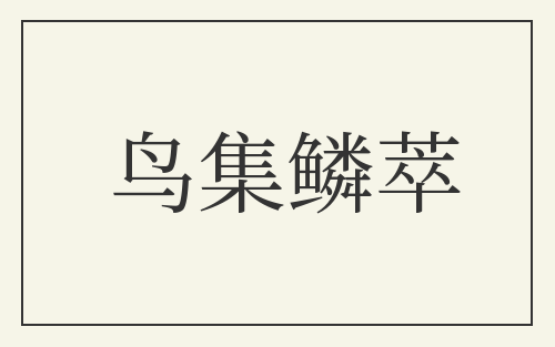 鸟集鳞萃