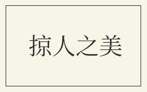 掠人之美