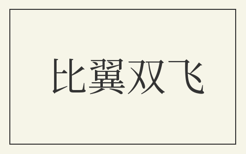 比翼双飞