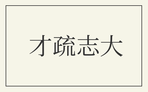 才疏志大