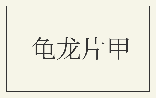 龟龙片甲