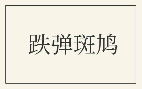 跌弹斑鸠