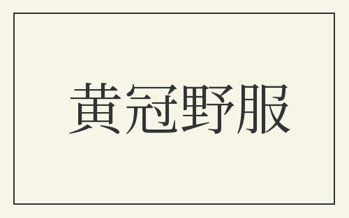 黄冠野服
