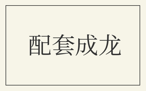 配套成龙