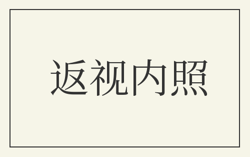 返视内照