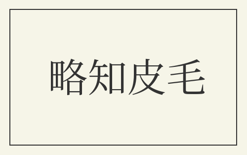 略知皮毛