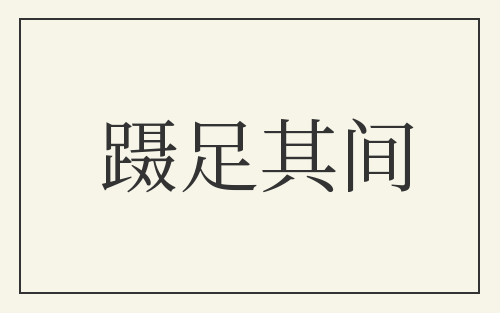 蹑足其间